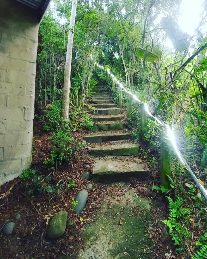 In The Green Backpackers Morgans Bay Exterior foto