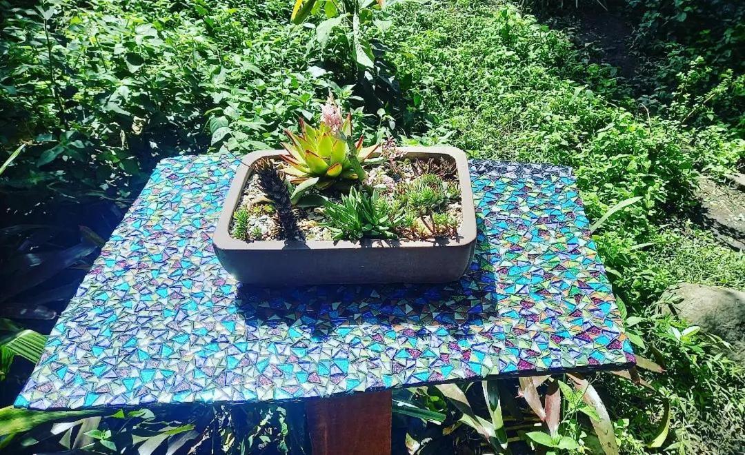 In The Green Backpackers Morgans Bay Exterior foto